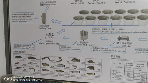 南平工廠化循環水養殖系統 豐冀經驗豐富