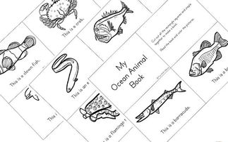 了解海洋及海洋動物,我用這套素材