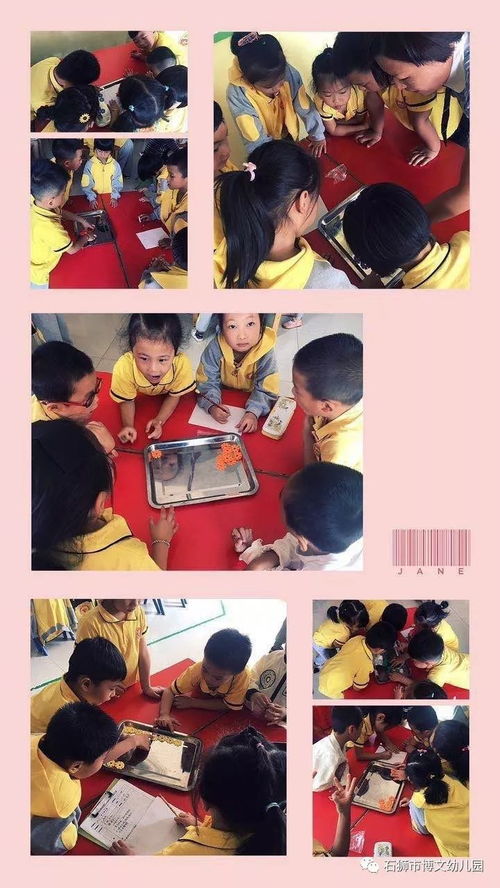 在操作中學(xué)習(xí)數(shù)學(xué) 記博文幼兒園數(shù)學(xué)公開課活動